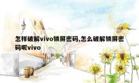 怎样破解vivo锁屏密码,怎么破解锁屏密码呢vivo