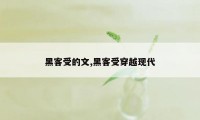 黑客受的文,黑客受穿越现代