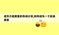 老外介绍黑客的养成计划,如何成为一个高级黑客