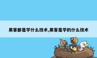 黑客都是学什么技术,黑客是学的什么技术