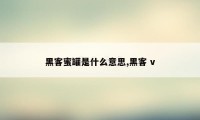 黑客蜜罐是什么意思,黑客 v