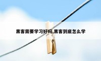 黑客需要学习好吗,黑客到底怎么学