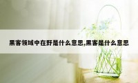 黑客领域中在野是什么意思,黑客是什么意思