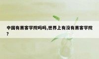 中国有黑客学院吗吗,世界上有没有黑客学院?