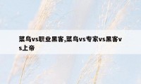 菜鸟vs职业黑客,菜鸟vs专家vs黑客vs上帝