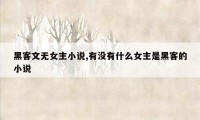 黑客文无女主小说,有没有什么女主是黑客的小说