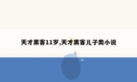 天才黑客11岁,天才黑客儿子类小说