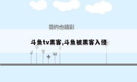 斗鱼tv黑客,斗鱼被黑客入侵