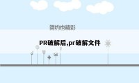 PR破解后,pr破解文件