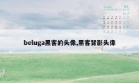 beluga黑客的头像,黑客背影头像