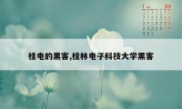 桂电的黑客,桂林电子科技大学黑客