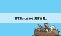 黑客lion21509,黑客帝国1