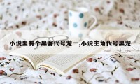 小说里有个黑客代号龙一,小说主角代号黑龙