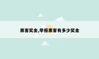 黑客奖金,举报黑客有多少奖金