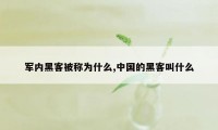 军内黑客被称为什么,中国的黑客叫什么