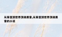 从笨蛋到世界顶级黑客,从笨蛋到世界顶级黑客的小说