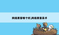 网络黑客哪个好,网络黑客高手