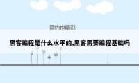 黑客编程是什么水平的,黑客需要编程基础吗