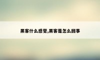 黑客什么感觉,黑客是怎么回事