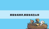 黑客鱼线测评,黑客鱼线怎么样