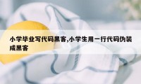 小学毕业写代码黑客,小学生用一行代码伪装成黑客