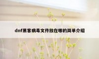 dnf黑客病毒文件放在哪的简单介绍