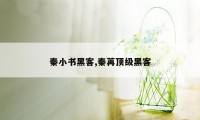 秦小书黑客,秦苒顶级黑客