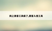 网上黑客工具疯了,黑客入侵工具