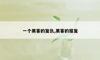 一个黑客的复仇,黑客的报复