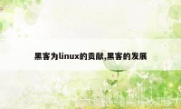 黑客为linux的贡献,黑客的发展