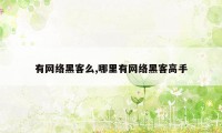 有网络黑客么,哪里有网络黑客高手