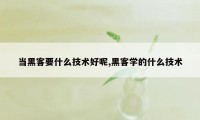 当黑客要什么技术好呢,黑客学的什么技术