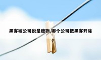 黑客被公司说是废物,哪个公司把黑客开除