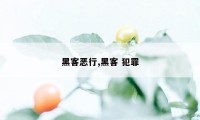 黑客恶行,黑客 犯罪