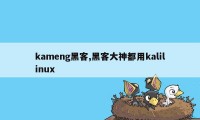 kameng黑客,黑客大神都用kalilinux