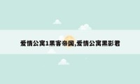 爱情公寓1黑客帝国,爱情公寓黑影君