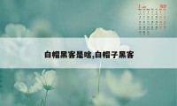 白帽黑客是啥,白帽子黑客