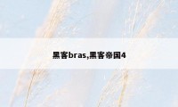 黑客bras,黑客帝国4