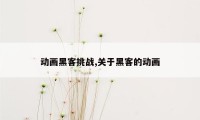 动画黑客挑战,关于黑客的动画