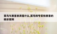 菜鸟与黑客表演是什么,菜鸟和专家和黑客的精彩视频