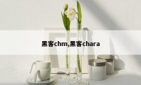 黑客chm,黑客chara