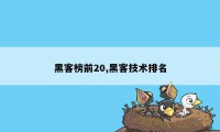 黑客榜前20,黑客技术排名