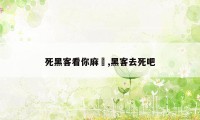 死黑客看你麻痺,黑客去死吧